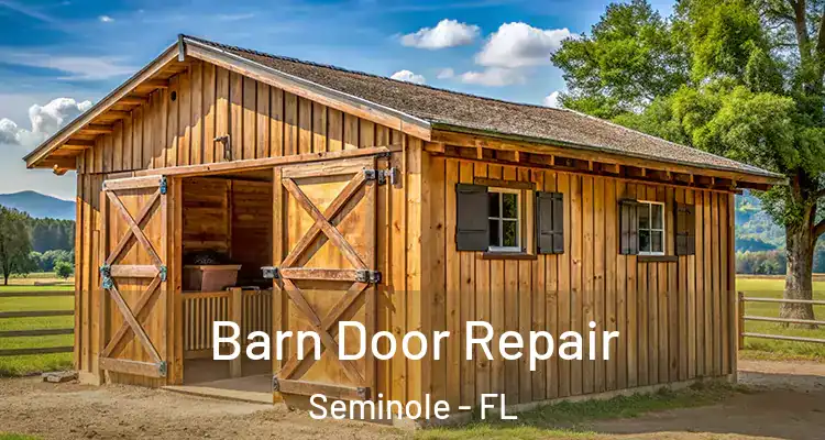 Barn Door Repair Seminole - FL