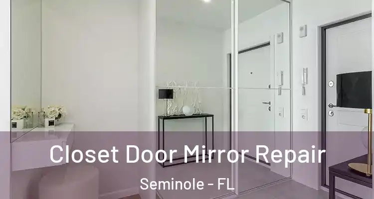 Closet Door Mirror Repair Seminole - FL