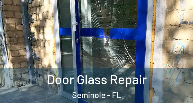 Door Glass Repair Seminole - FL
