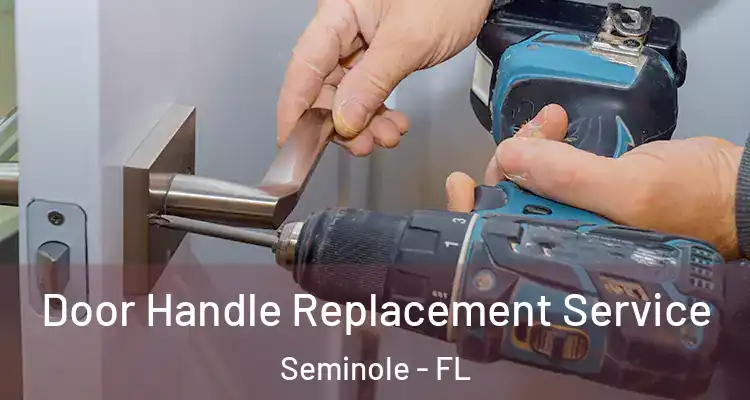 Door Handle Replacement Service Seminole - FL