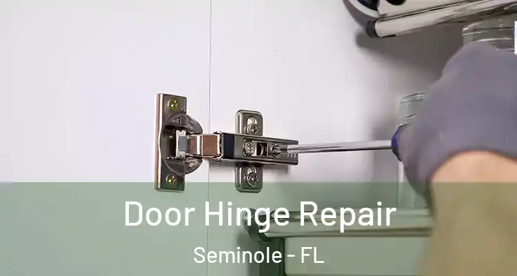 Door Hinge Repair Seminole - FL