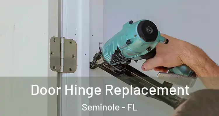 Door Hinge Replacement Seminole - FL