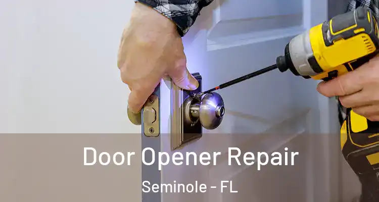 Door Opener Repair Seminole - FL