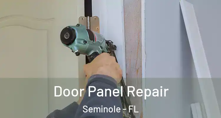 Door Panel Repair Seminole - FL