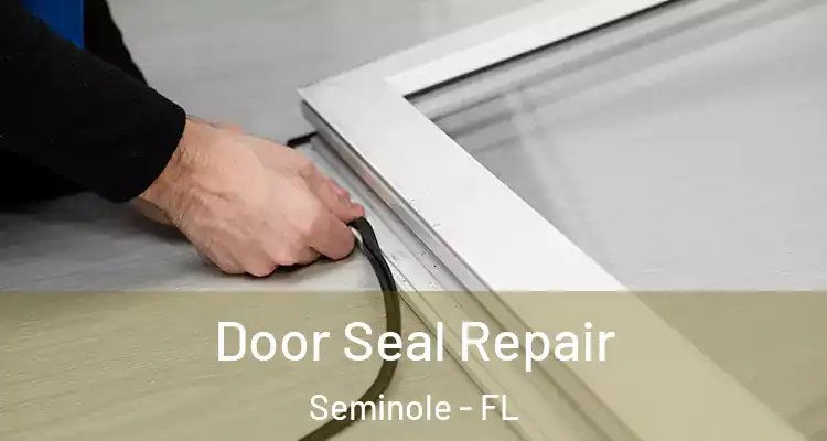 Door Seal Repair Seminole - FL