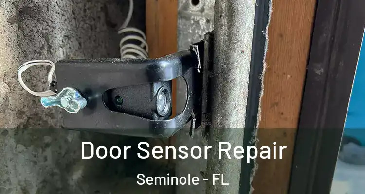 Door Sensor Repair Seminole - FL