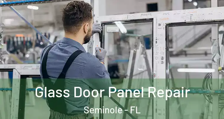 Glass Door Panel Repair Seminole - FL