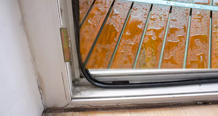 Water Leaking Wooden Patio Doors Repair in Seminole, FL