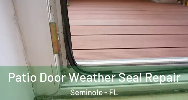 Patio Door Weather Seal Repair Seminole - FL