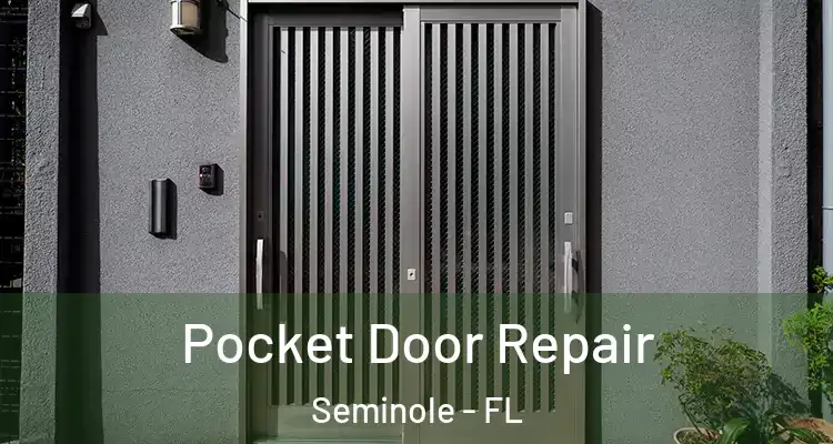 Pocket Door Repair Seminole - FL