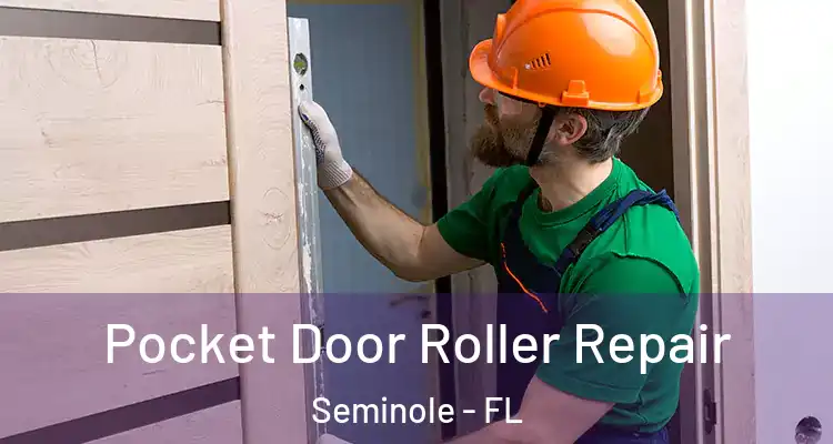 Pocket Door Roller Repair Seminole - FL