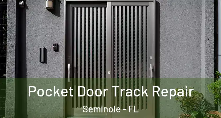 Pocket Door Track Repair Seminole - FL