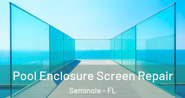 Pool Enclosure Screen Repair Seminole - FL