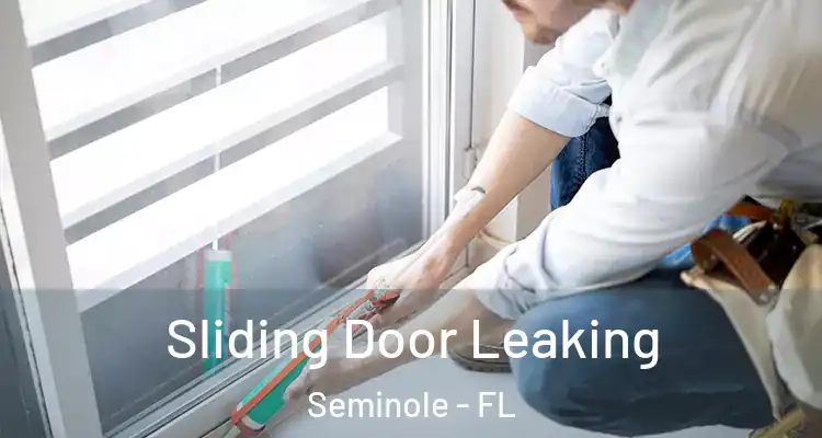 Sliding Door Leaking Seminole - FL