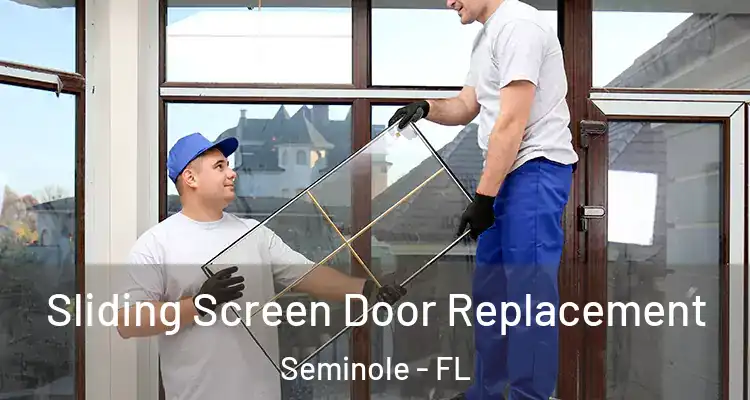 Sliding Screen Door Replacement Seminole - FL
