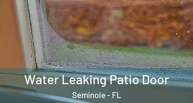 Water Leaking Patio Door Seminole - FL