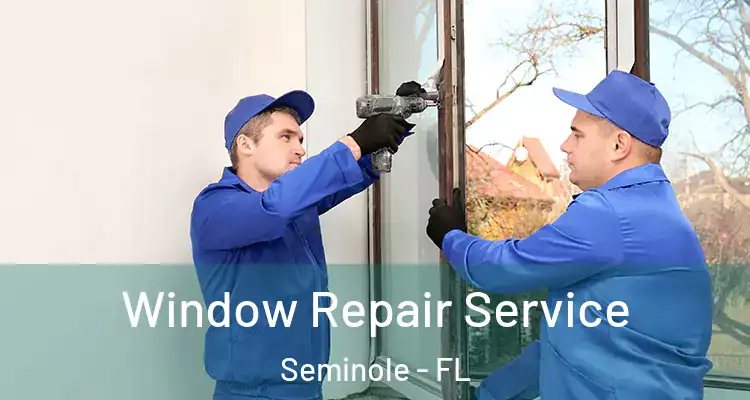 Window Repair Service Seminole - FL
