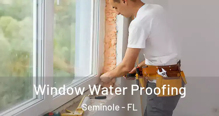 Window Water Proofing Seminole - FL