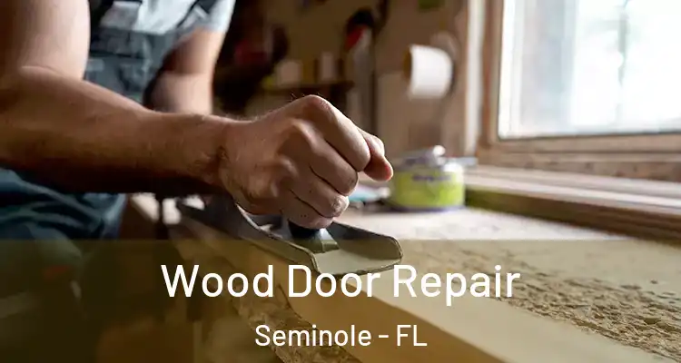 Wood Door Repair Seminole - FL
